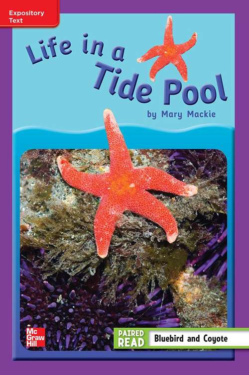 Book cover of Life in a Tide Pool [ELL Level, Grade 3]