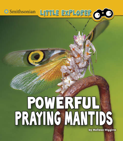 Book cover of Powerful Praying Mantids (Little Entomologist 4D)