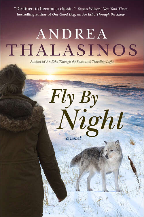 Book cover of Fly By Night: A Novel
