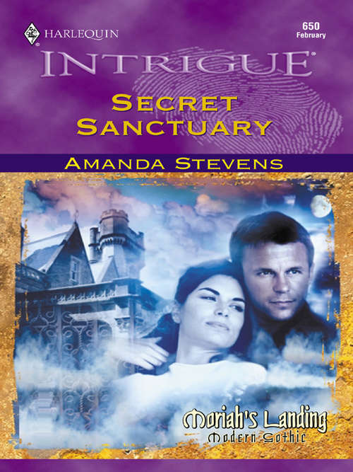 Book cover of Secret Sanctuary