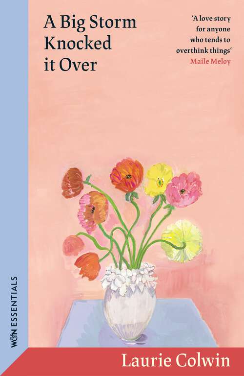 Book cover of A Big Storm Knocked it Over: A Novel