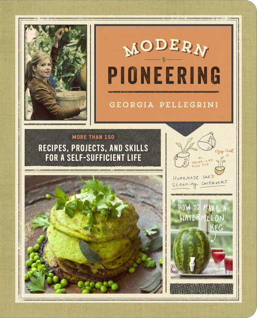 Book cover of Modern Pioneering