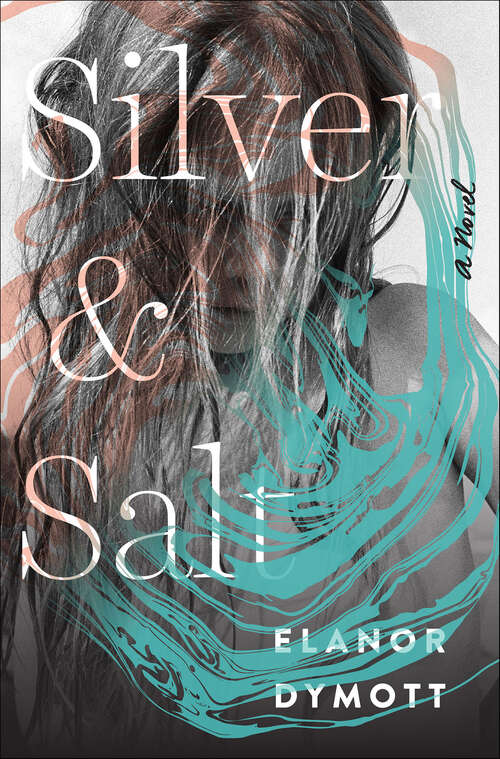 Book cover of Silver & Salt: A Novel