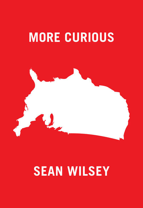 Book cover of More Curious