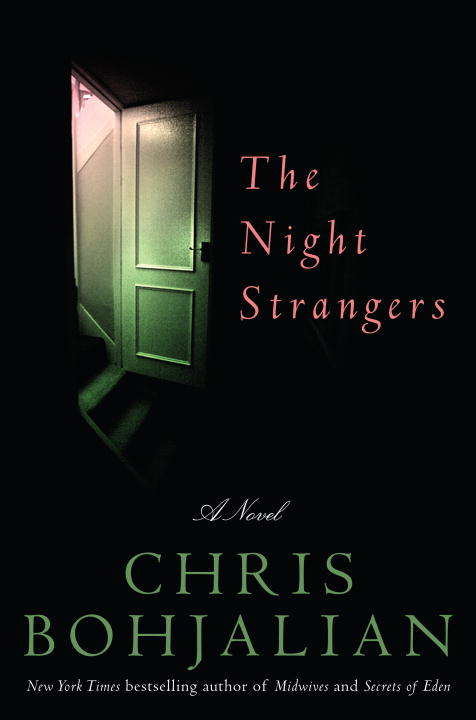 Book cover of The Night Strangers