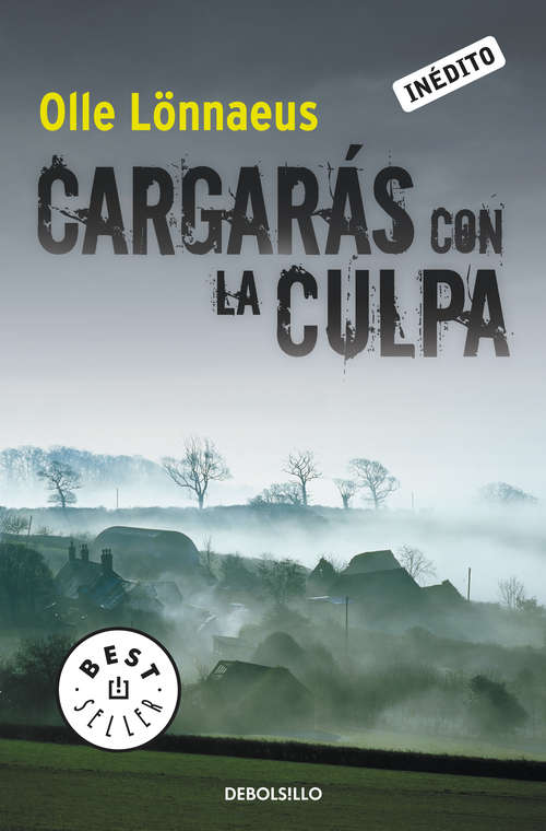 Book cover of Cargarás con la culpa