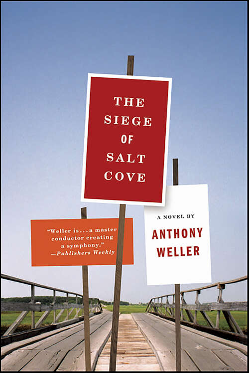 Book cover of The Siege of Salt Cove: A Novel