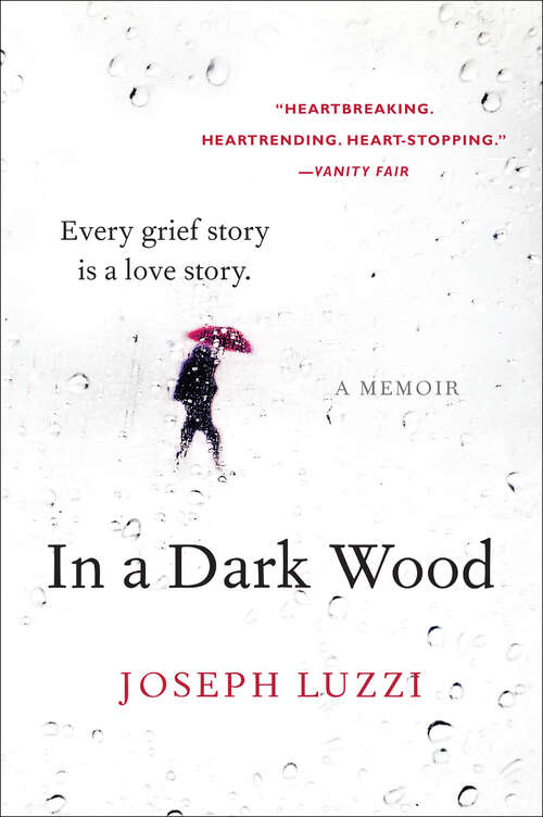 Book cover of In a Dark Wood