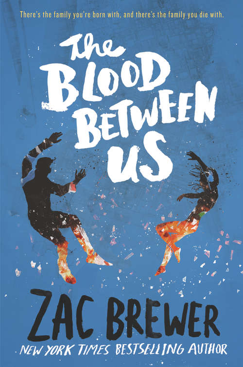 Book cover of The Blood Between Us