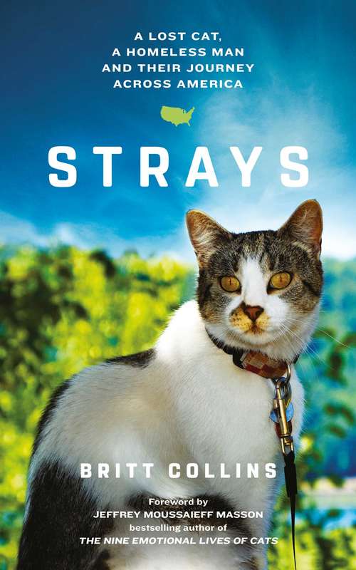 Book cover of Strays: The True Story of a Lost Cat, a Homeless Man and Their Journey Across America