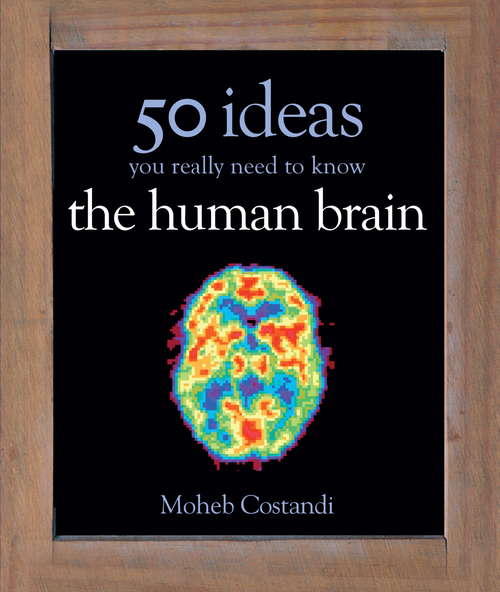Book cover of 50 Human Brain Ideas You Really Need to Know