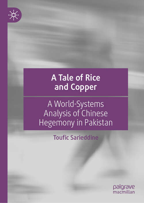 Book cover of A Tale of Rice and Copper: A World-Systems Analysis of Chinese Hegemony in Pakistan (2024)