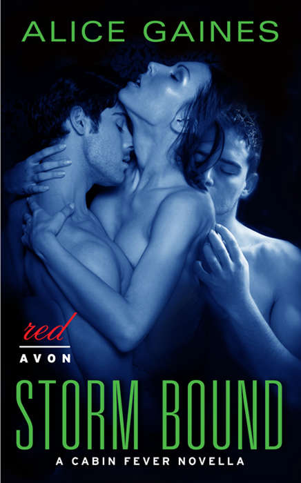 Book cover of Storm Bound