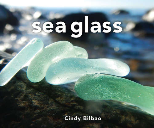 Book cover of Sea Glass (Revised and Updated)