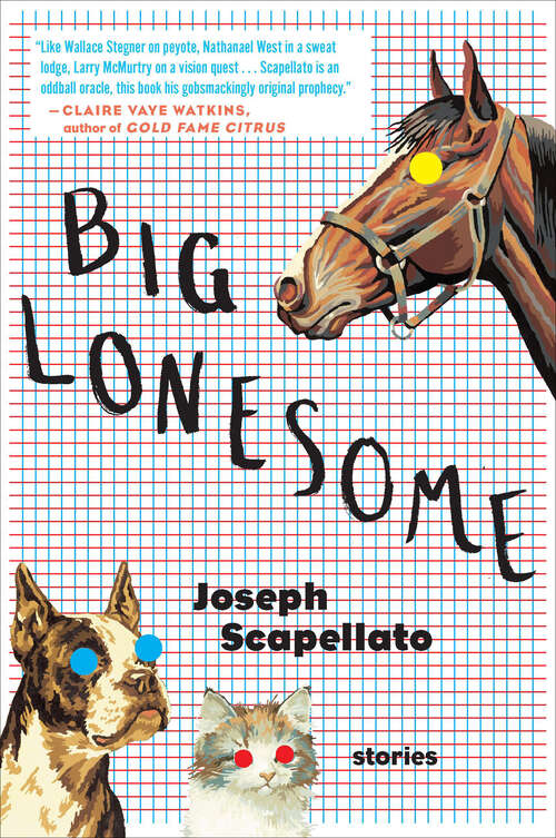 Book cover of Big Lonesome
