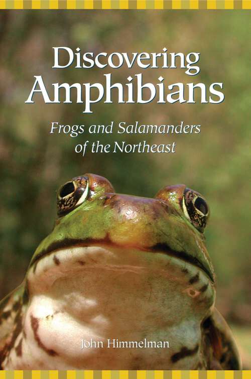 Book cover of Discovering Amphibians: Frogs and Salamanders of the Northeast