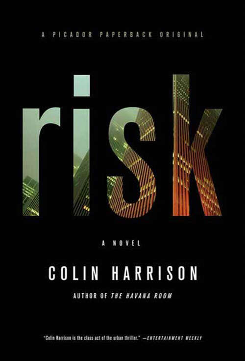 Book cover of Risk: A Novel