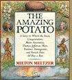 Book cover of The Amazing Potato: A Story in Which the Incas, Conquistadors, Marie Antoinette, Thomas Jefferson, Wars, Famines, Immigrants, and French Fries All Play a Part