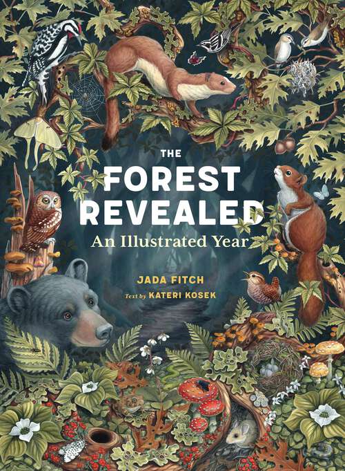 Book cover of The Forest Revealed: An Illustrated Year