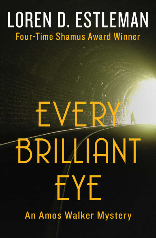 Book cover of Every Brilliant Eye