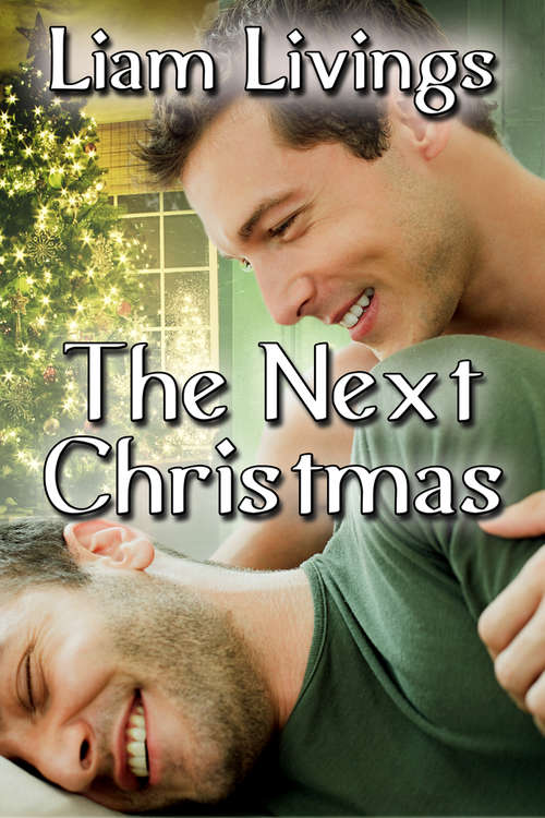 Book cover of The Next Christmas