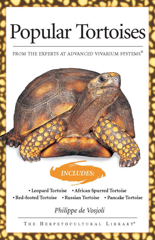 Popular Tortoises