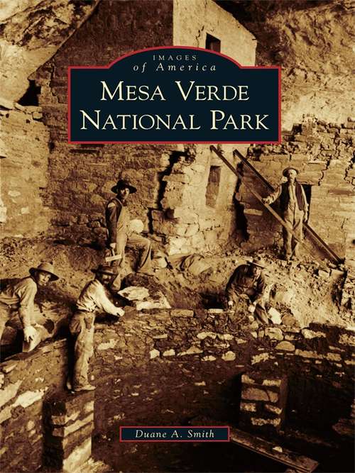 Book cover of Mesa Verde National Park