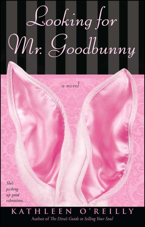 Book cover of Looking for Mr. Goodbunny