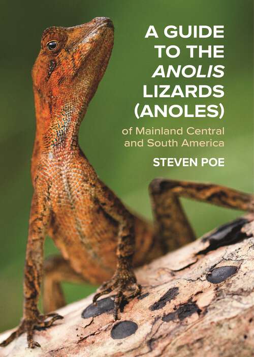 Book cover of A Guide to the Anolis Lizards (Anoles) of Mainland Central and South America