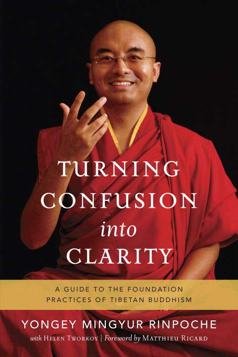 Book cover of Turning Confusion into Clarity