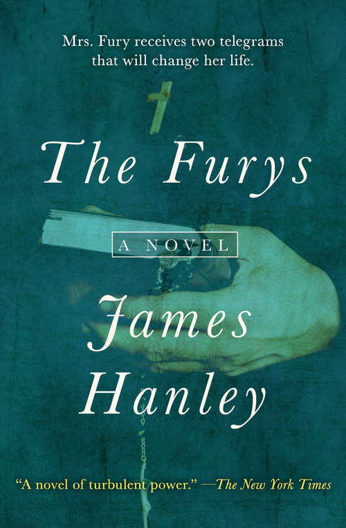 Book cover of The Furys