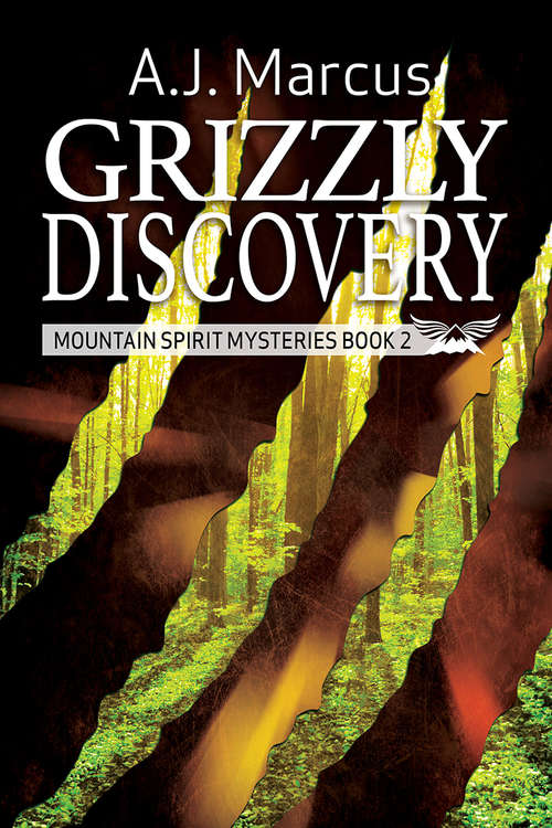 Book cover of Grizzly Discovery (Mountain Spirit Mysteries #2)