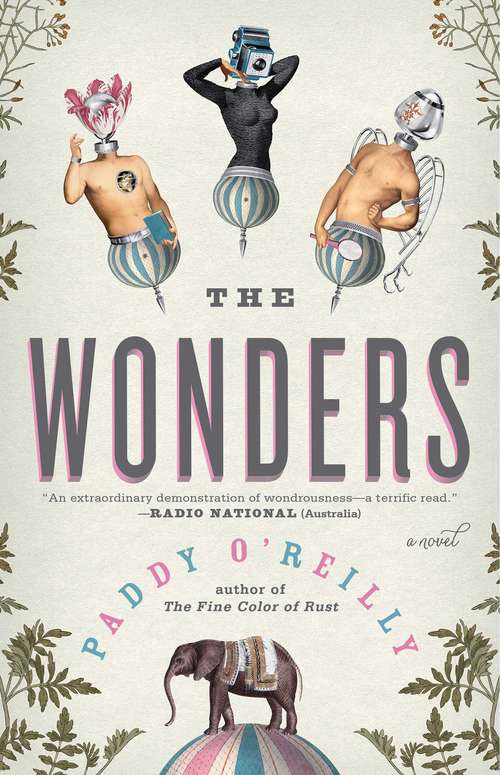 Book cover of The Wonders