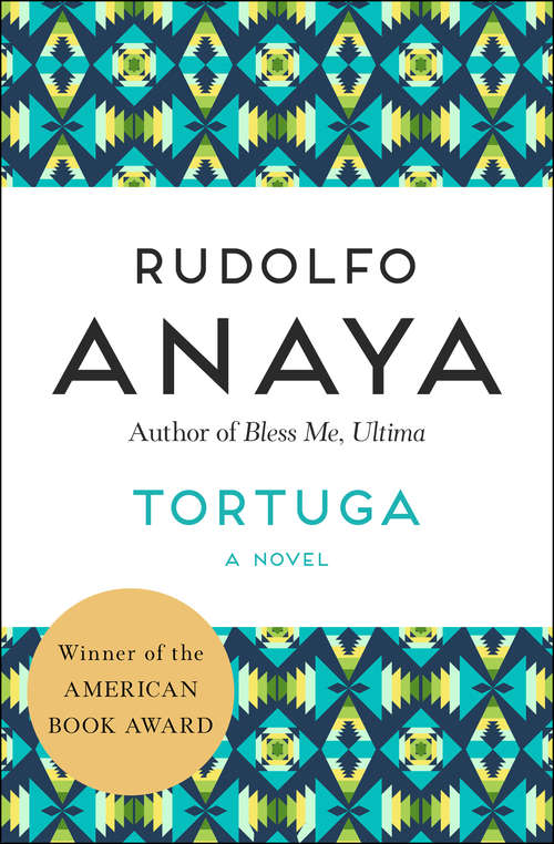 Book cover of Tortuga: A Novel (25th Edition)