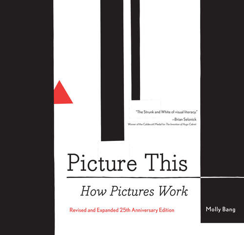 Book cover of Picture This: How Pictures Work
