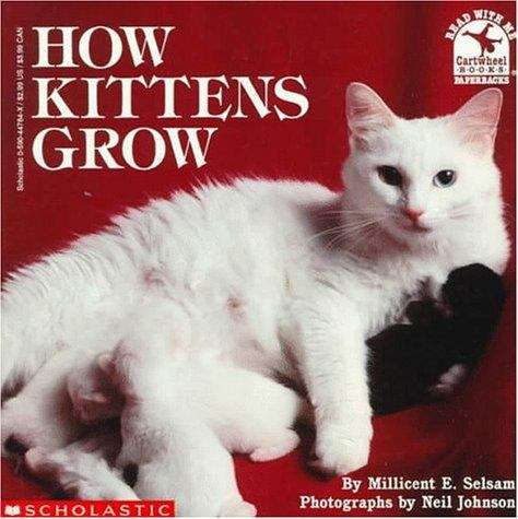 Book cover of How Kittens Grow