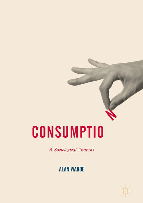 Consumption: A Sociological Analysis (Consumption and Public Life)