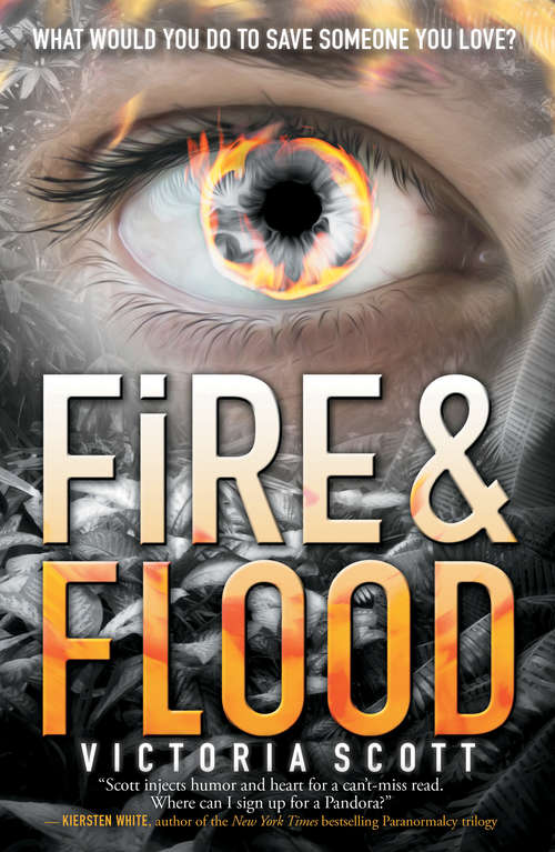 Book cover of Fire & Flood (Fire And Flood Ser. #1)