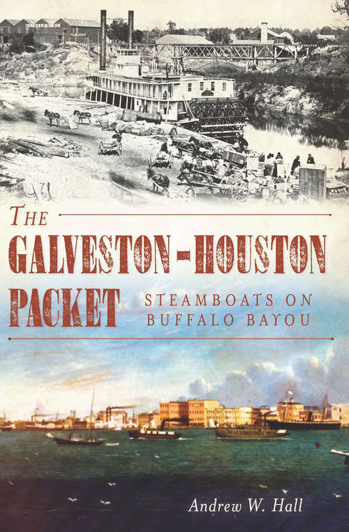 Book cover of Galveston-Houston Packet, The: Steamboats on Buffalo Bayou