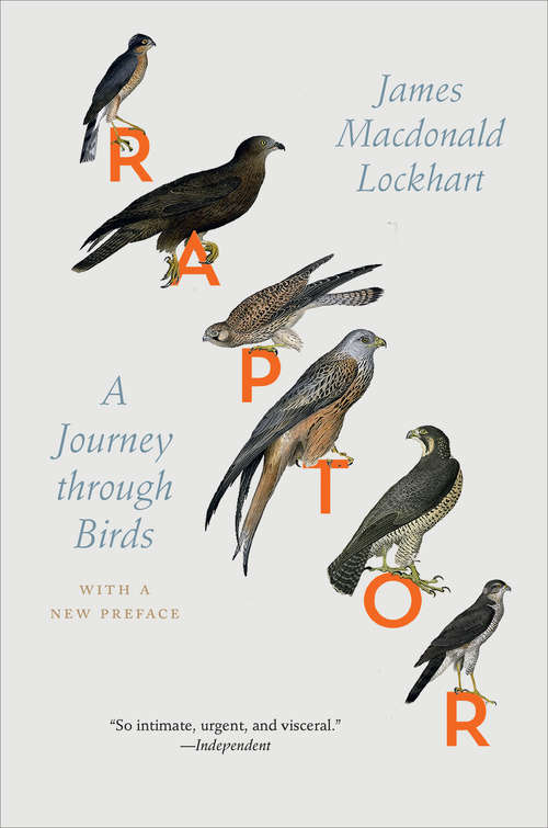Raptor: A Journey through Birds