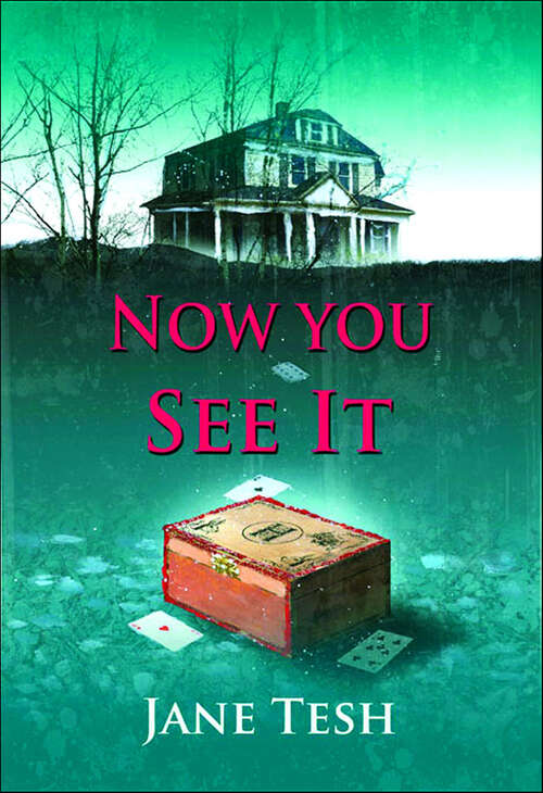 Book cover of Now You See It: A Grace Street Mystery (Grace Street Mysteries #3)