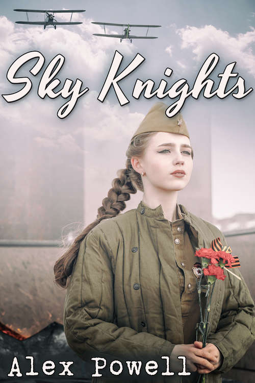 Book cover of Sky Knights