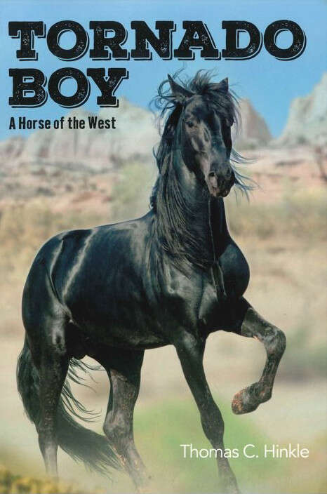 Book cover of Tornado Boy: A Horse of the West