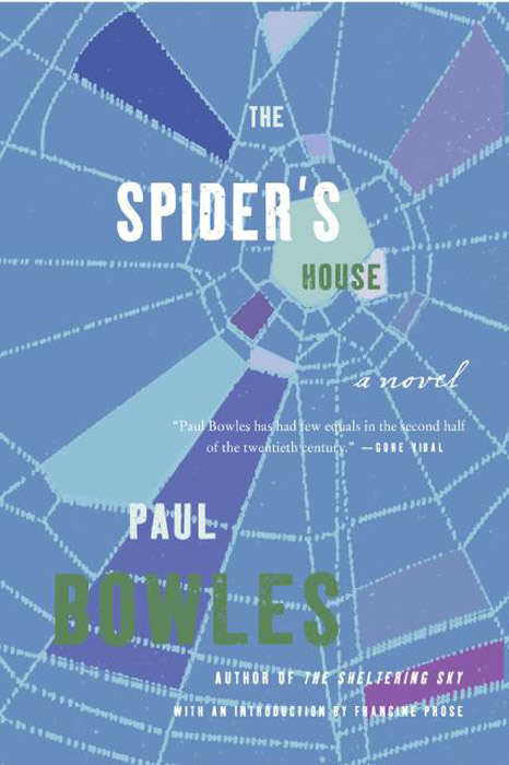 Book cover of The Spider's House