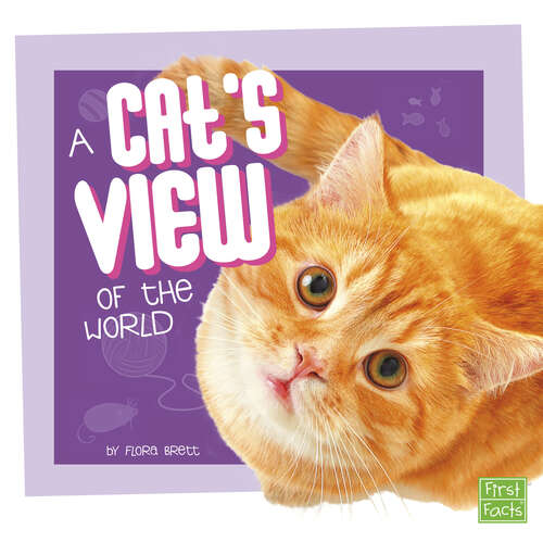 Book cover of A Cat’s View of the World (Pet Perspectives Ser.)