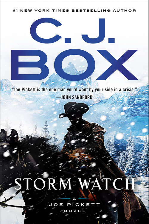 Book cover of Storm Watch (A Joe Pickett Novel #23)