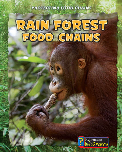 Book cover of Rain Forest Food Chains (Protecting Food Chains Ser.)