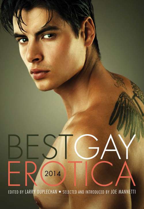 Book cover of Best Gay Erotica 2014
