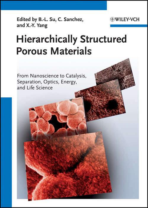Book cover of Hierarchically Structured Porous Materials