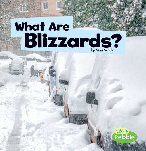 Book cover of What Are Blizzards? (Wicked Weather Ser.)